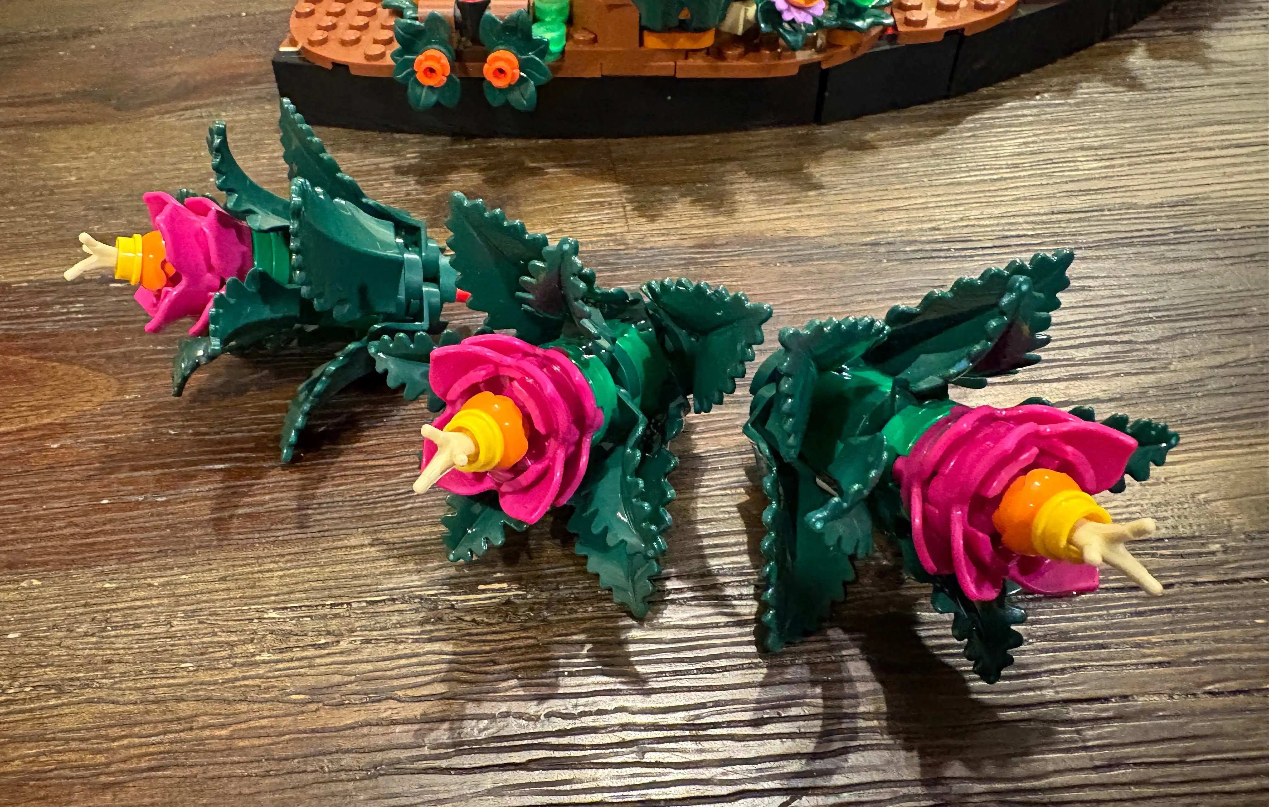 澳门十五运,会及残特奥,会项目测试,世界杯半决赛,2026年赛程,赛事分析,热门球队,比赛预测