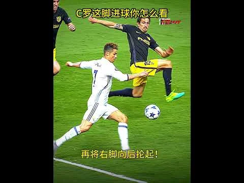 皇家马德里二比一险胜多特蒙德夺得第十五座欧洲冠军杯