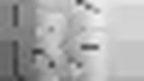 罗哥加盟迈阿密短期效力可信吗？小组赛淘汰后责任如何划分？