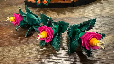 澳门十五运会及残特奥会项目测试4月至6月展开——央视新闻客户端讯